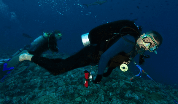 what is dive watches